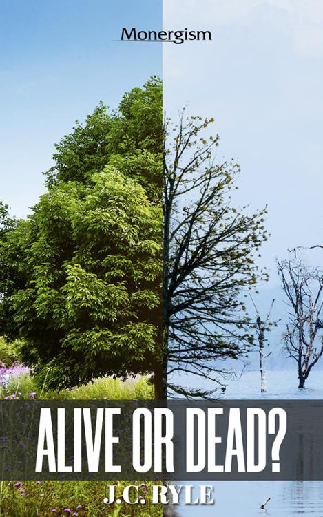 Cover of AliveorDeadJ.CRyle