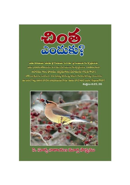 Cover photograph of Chinta_Yenduku