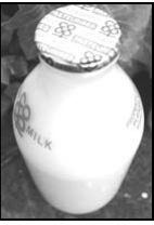 Photograph from page 55 of Goppa Vujjeeva Satyaala Neethi Kathalu గొప్ప ఉజ్జీవ సత్యాల నీతి కథలు