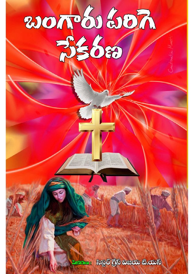 Cover of Bangaaru Parige