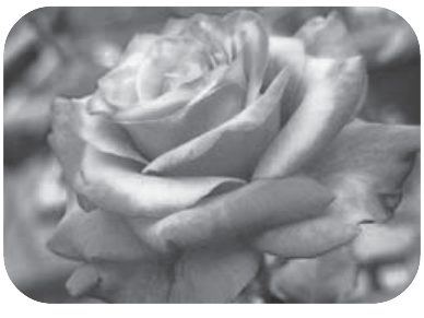 Photograph from page 124 of Kreesthu Anucharula Anubhavaalu