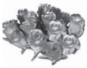 Photograph from page 127 of Kreesthu Anucharula Anubhavaalu