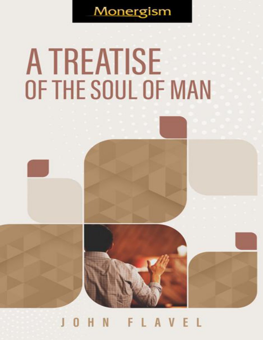 Pneumatologia: A Treatise of the Soul of Man by John Flavel book cover