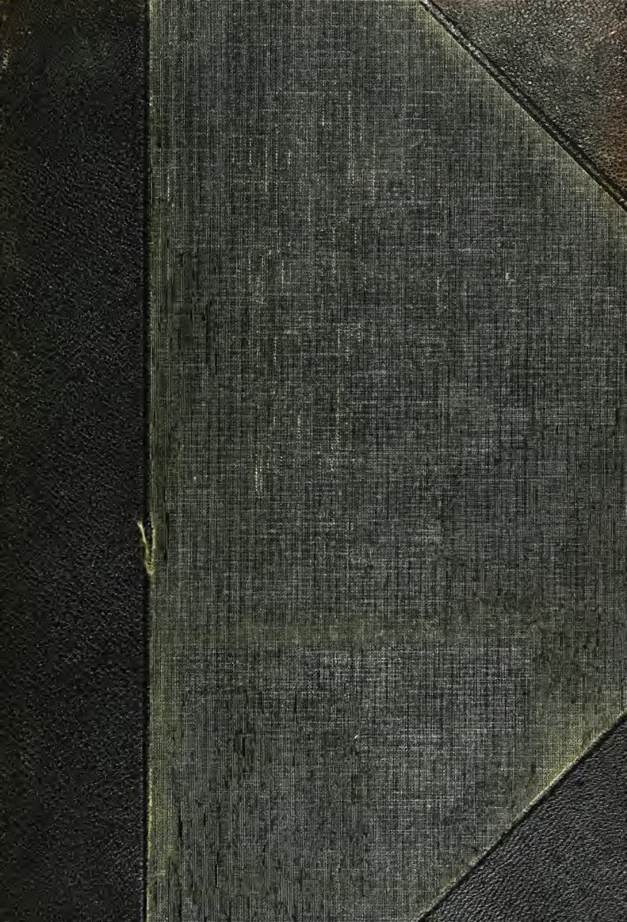 Standard bible encyclopedia by James Orr book cover