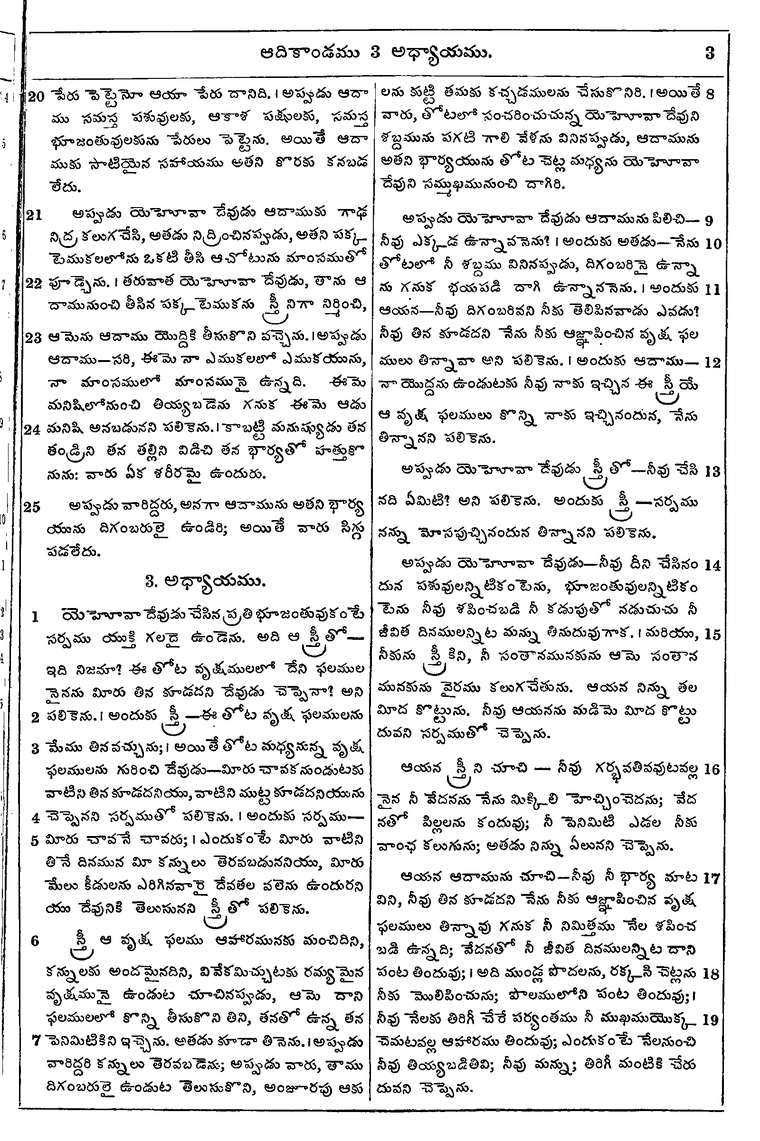 Page 19 of the 1881 Telugu Bible - Genesis