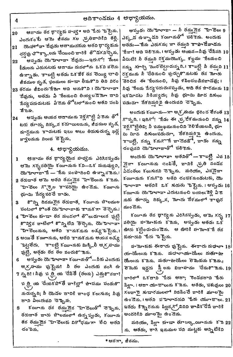 Page 20 of the 1881 Telugu Bible - Genesis