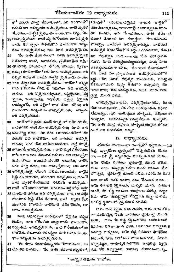 Page 131 of the 1881 Telugu Bible - Leviticus