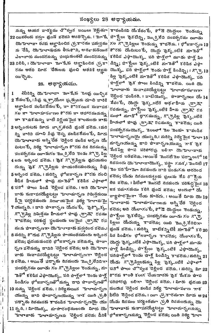 Page 191 of the 1881 Telugu Bible - Numbers