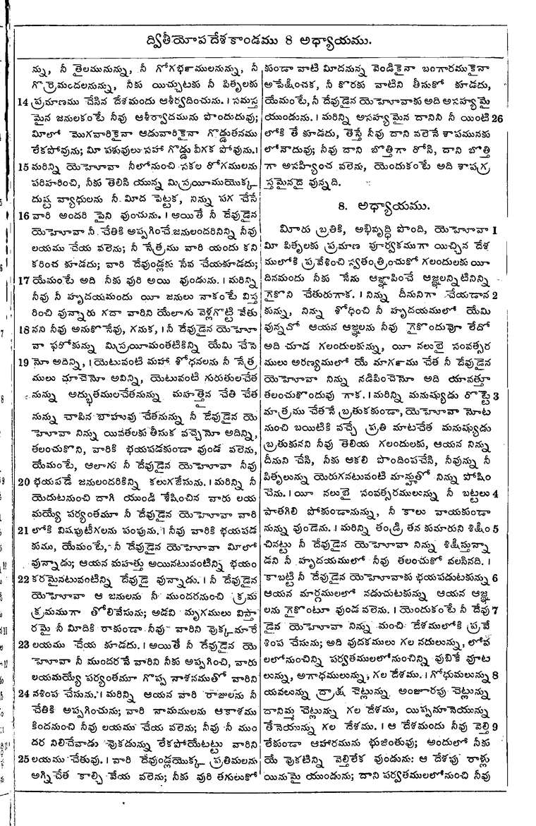 Page 213 of the 1881 Telugu Bible - Deuteronomy
