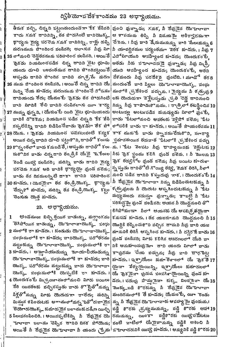 Page 229 of the 1881 Telugu Bible - Deuteronomy