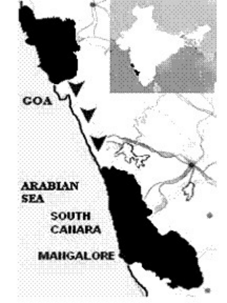 Illustration from PDF page 155