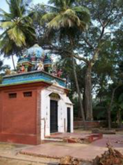 Illustration from PDF page 393