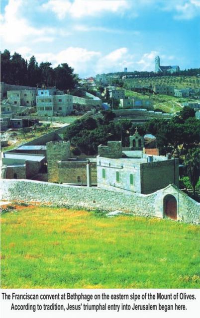 Photograph from page 22 of T. Sappidi